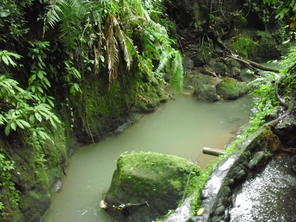 Image CIMG6874.JPG