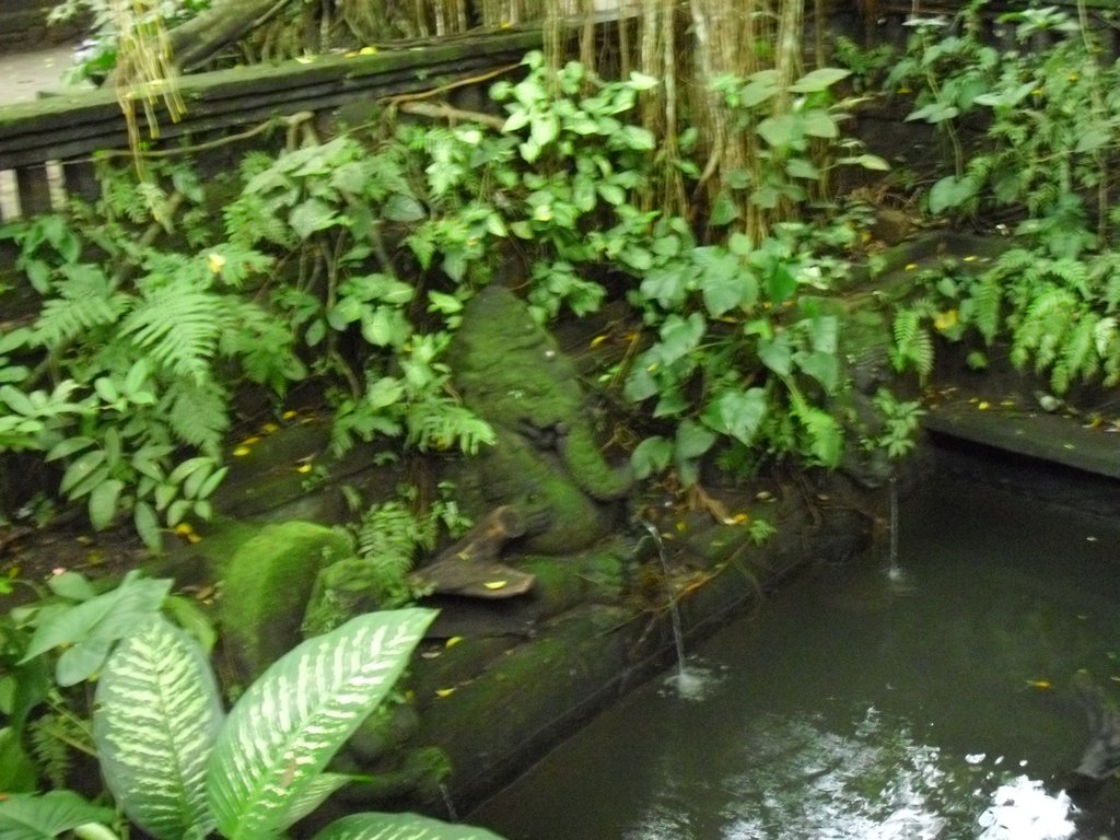 Image CIMG6876.JPG