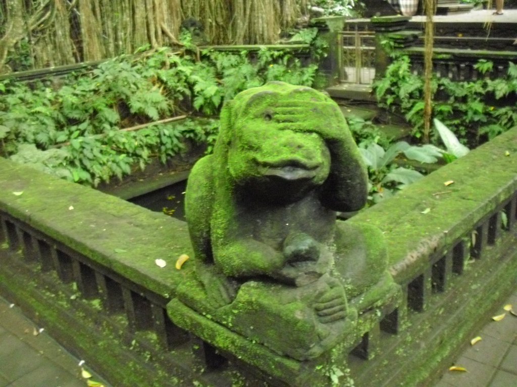 Image CIMG6877.JPG