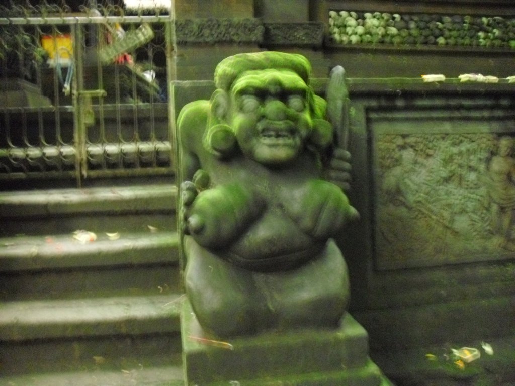 Image CIMG6881.JPG