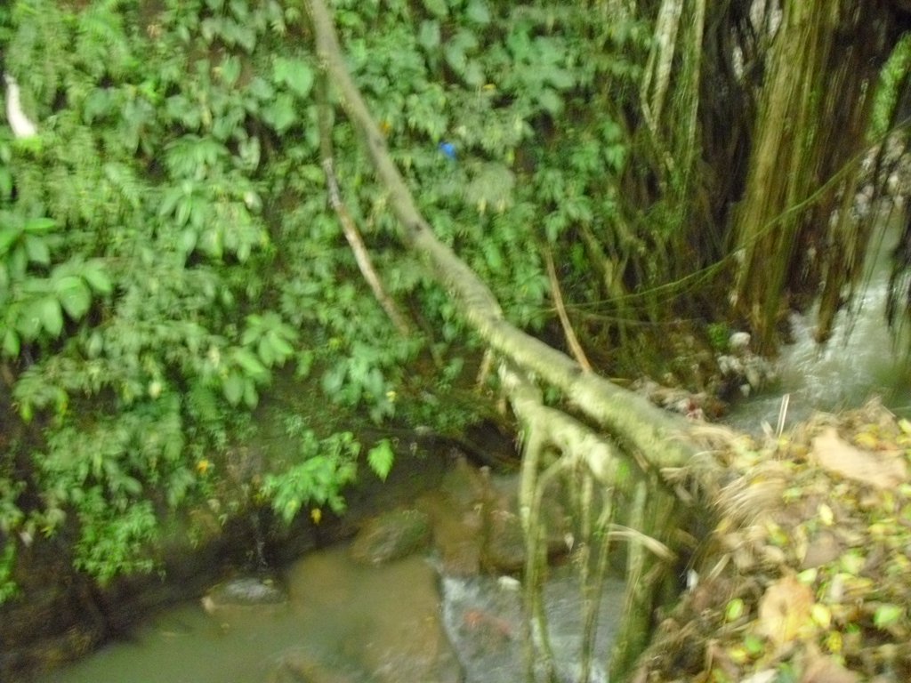 Image CIMG6883.JPG