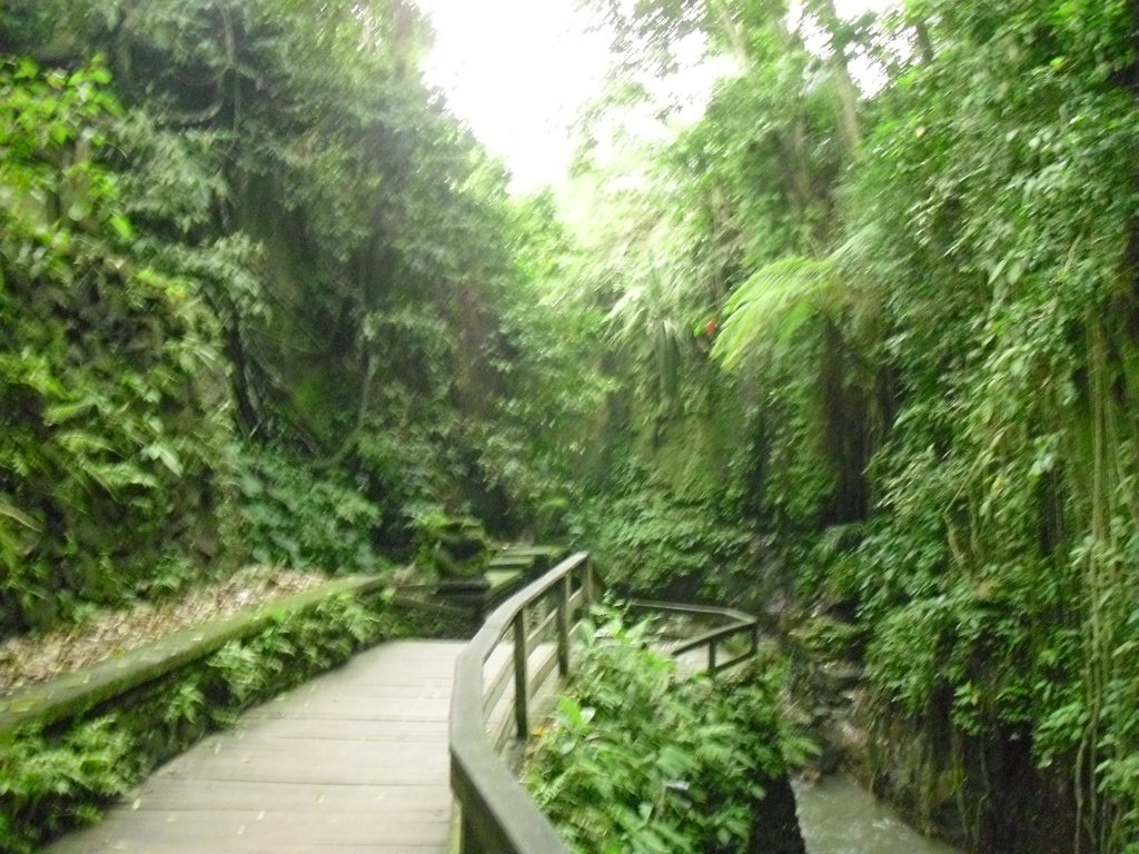 Image CIMG6884.JPG