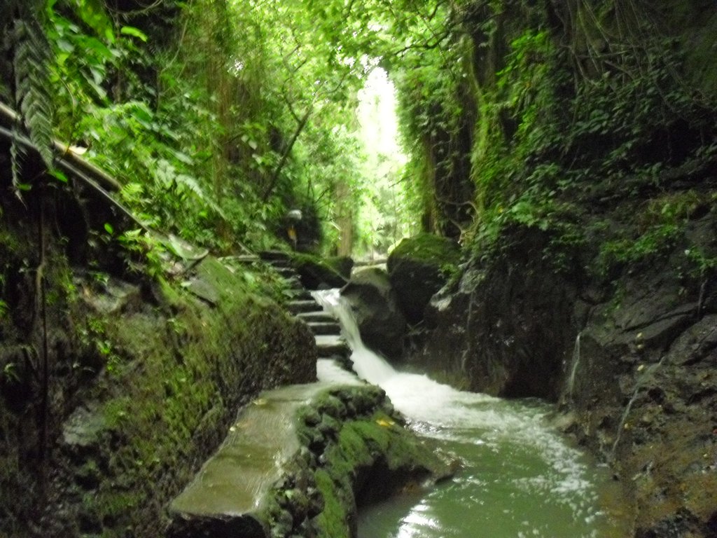 Image CIMG6885.JPG