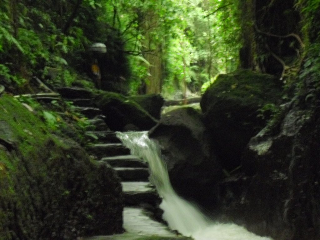 Image CIMG6886.JPG