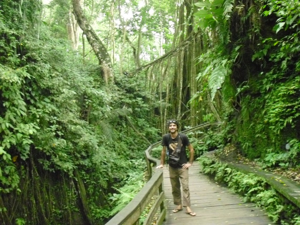 Image CIMG6888.JPG