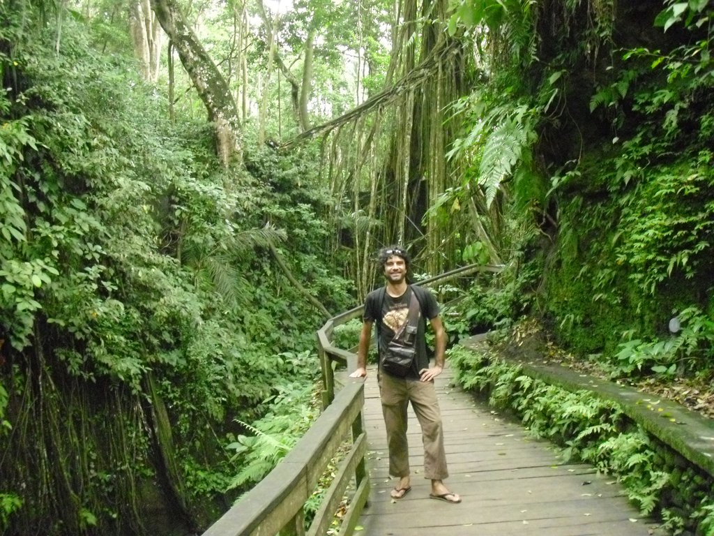 Image CIMG6889.JPG