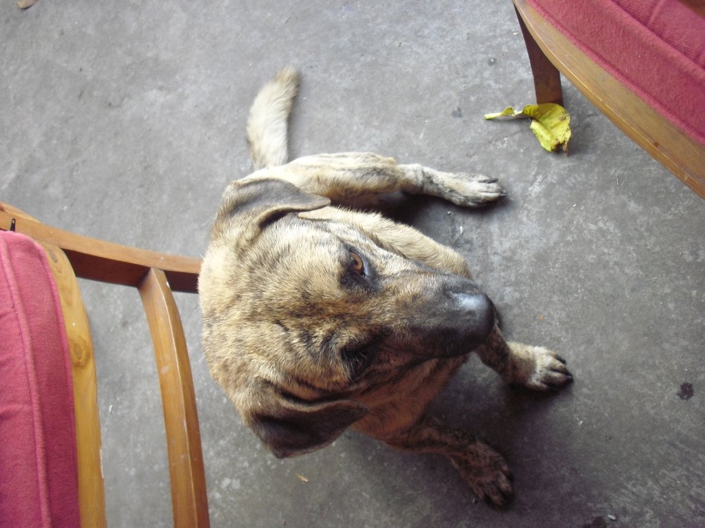Image CIMG7519.JPG