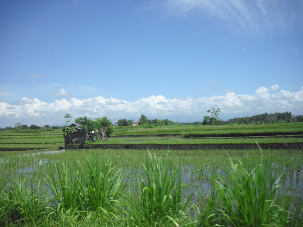 Image CIMG7535.JPG