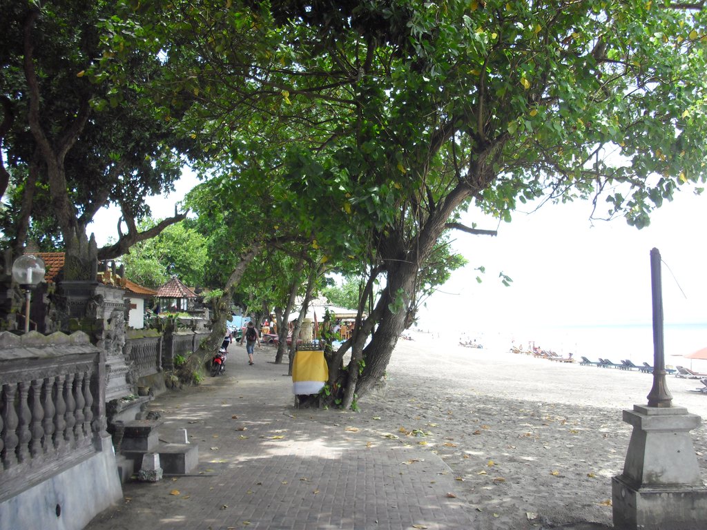 Image CIMG7541.JPG