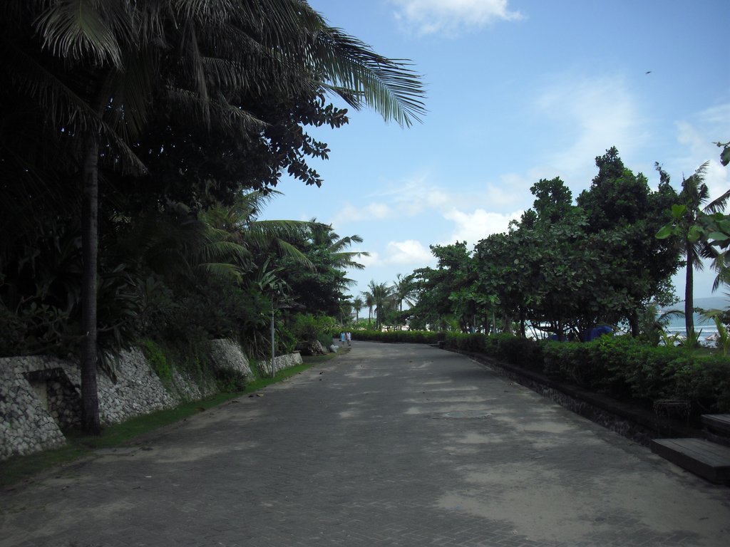 Image CIMG7542.JPG