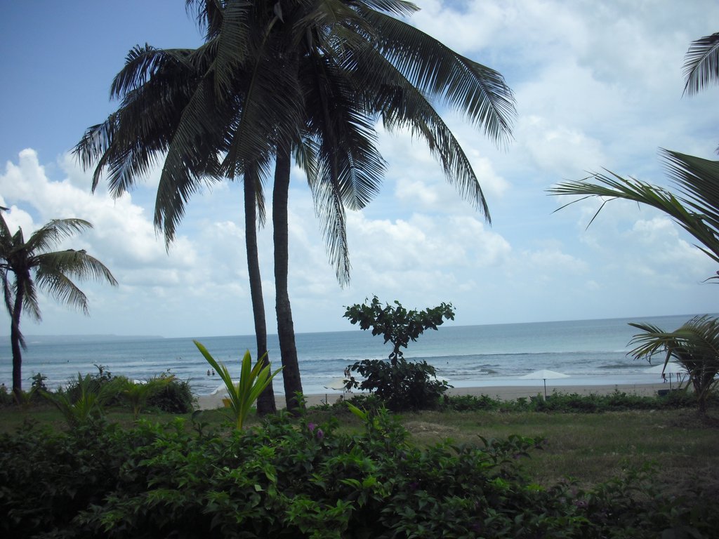 Image CIMG7543.JPG