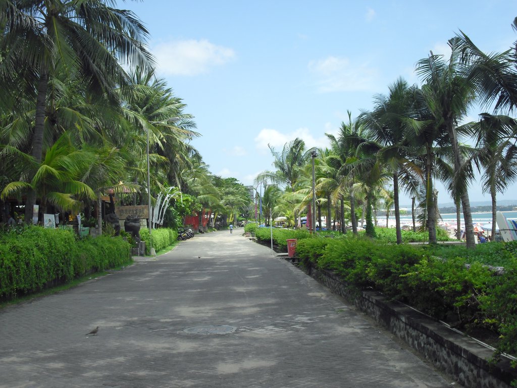 Image CIMG7545.JPG