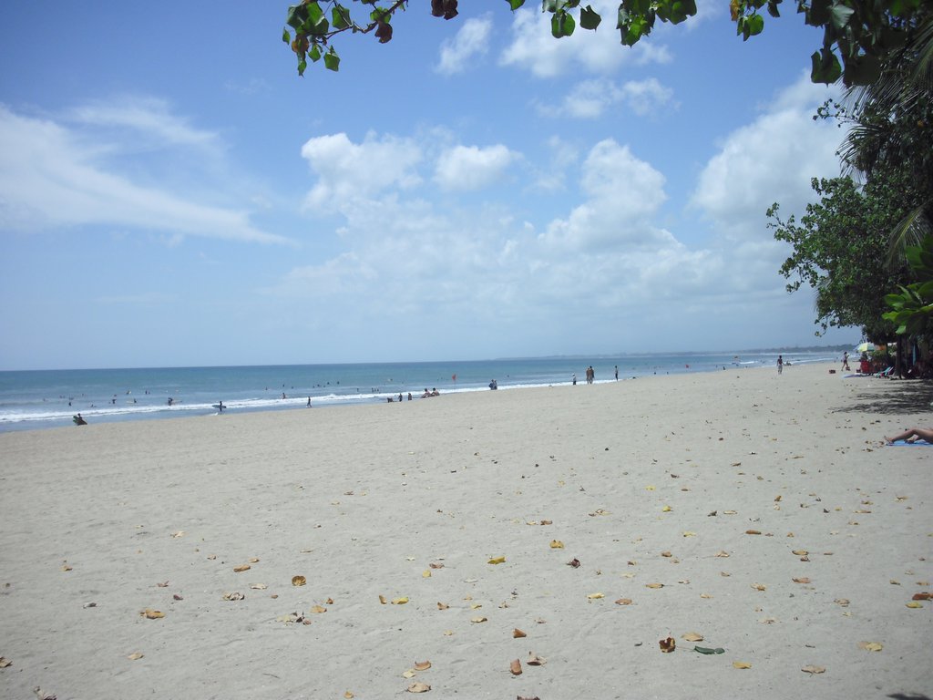 Image CIMG7548.JPG