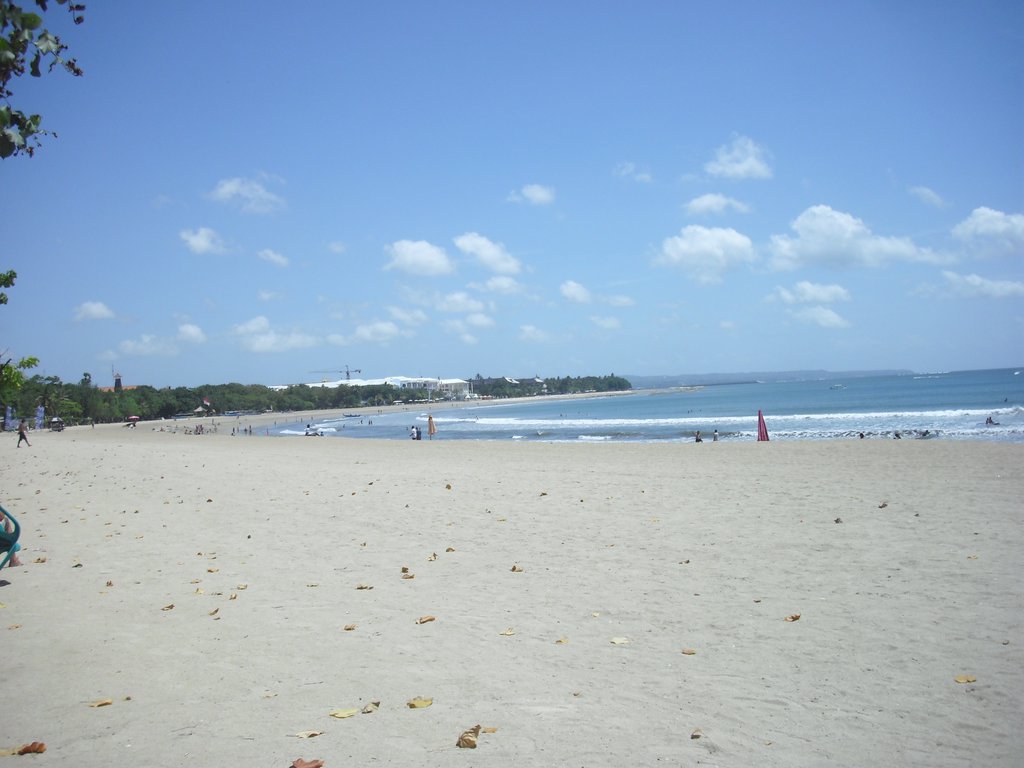 Image CIMG7549.JPG