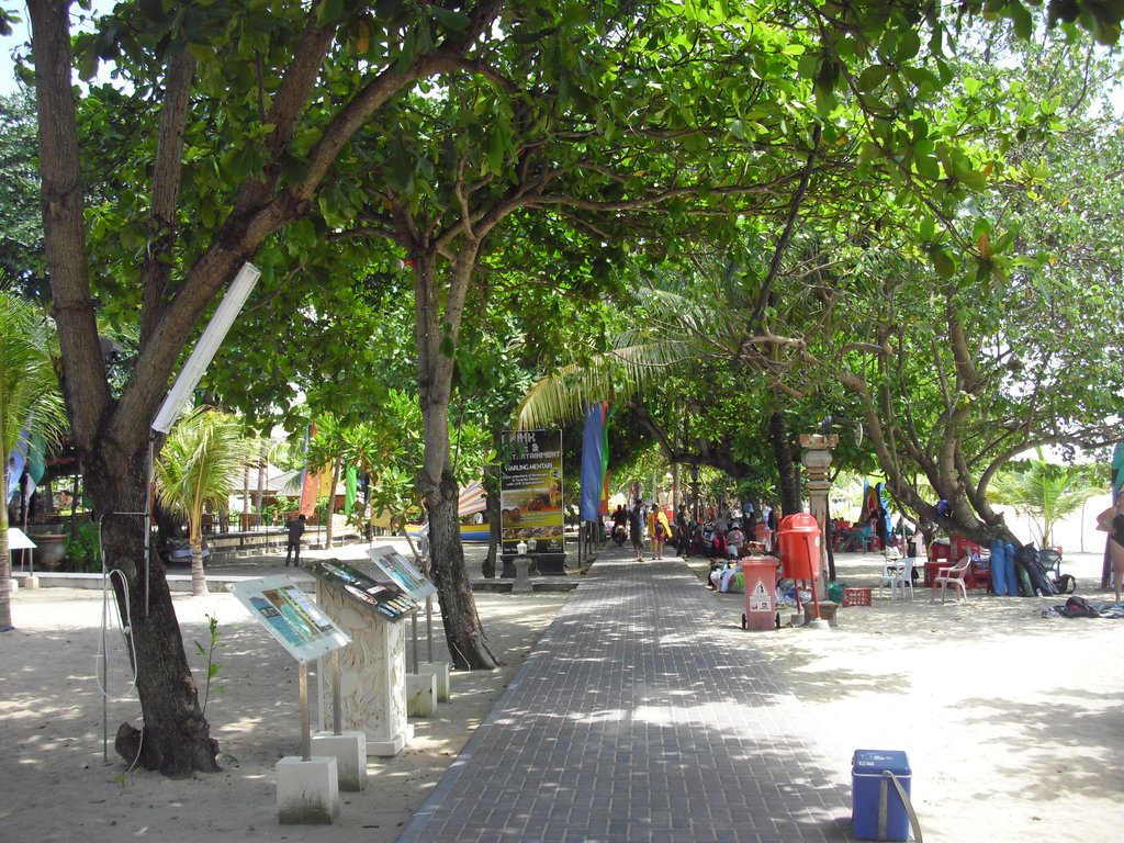 Image CIMG7552.JPG