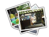 Bali album picture