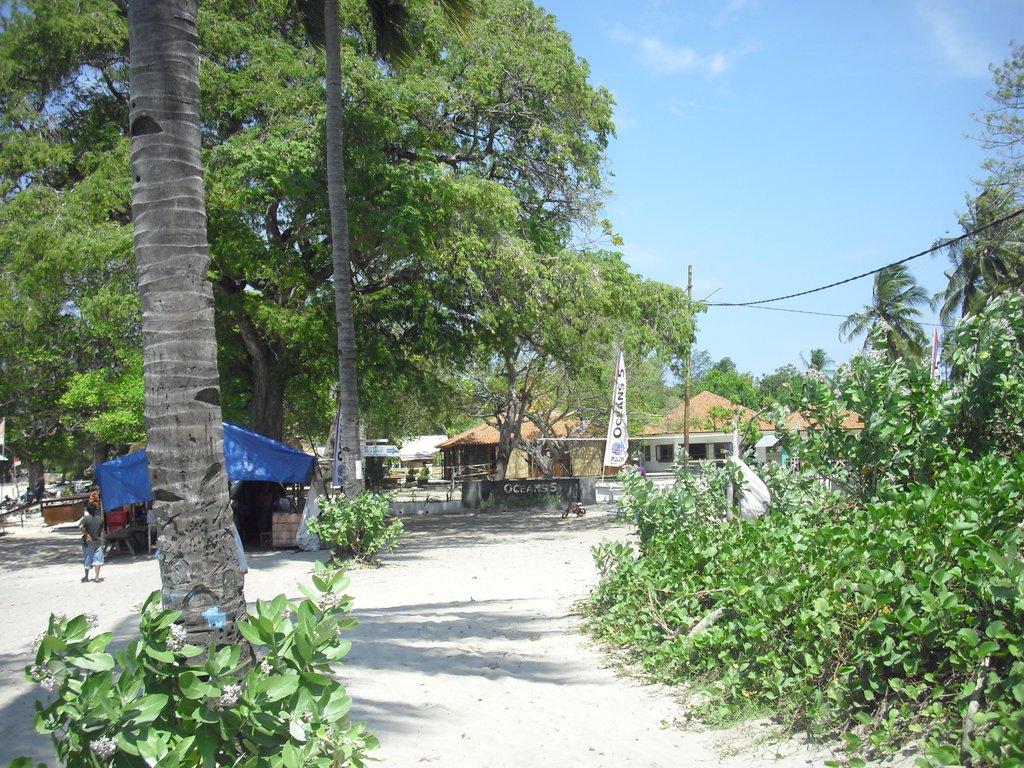Image CIMG7293.JPG