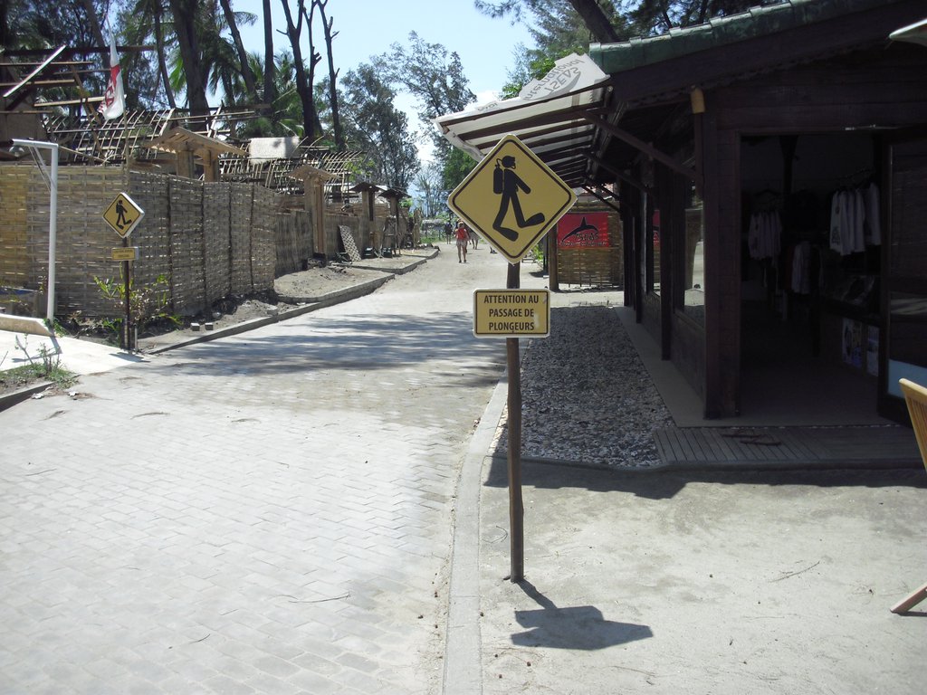 Image CIMG7294.JPG