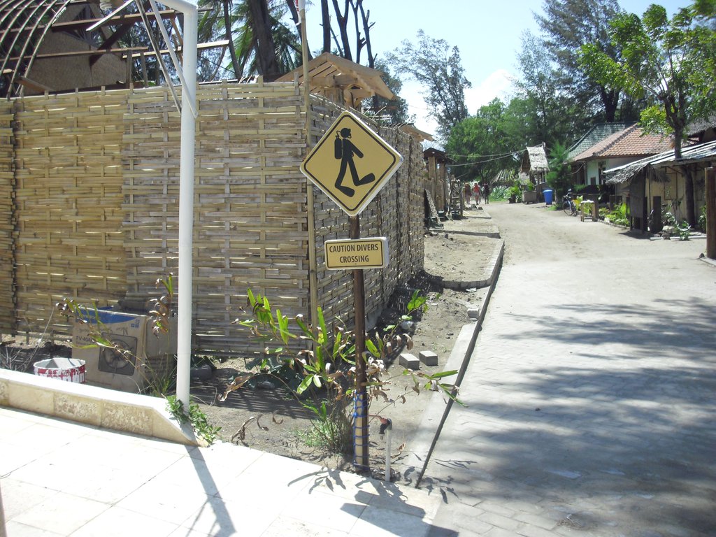 Image CIMG7295.JPG