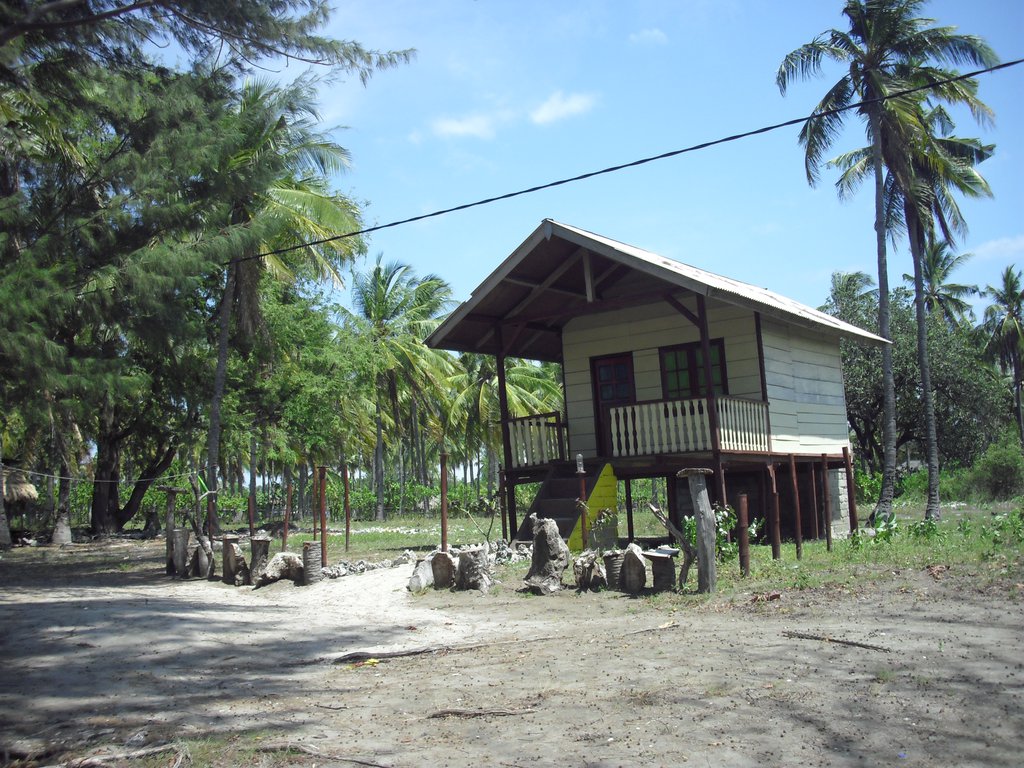 Image CIMG7297.JPG