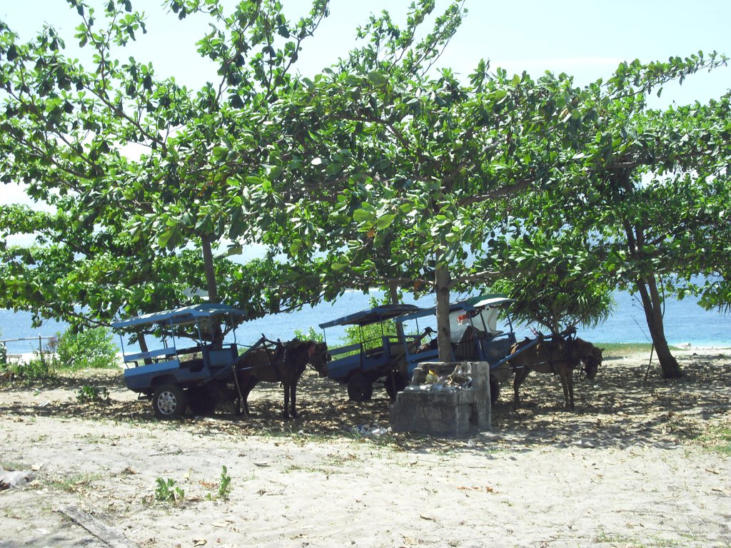 Image CIMG7299.JPG