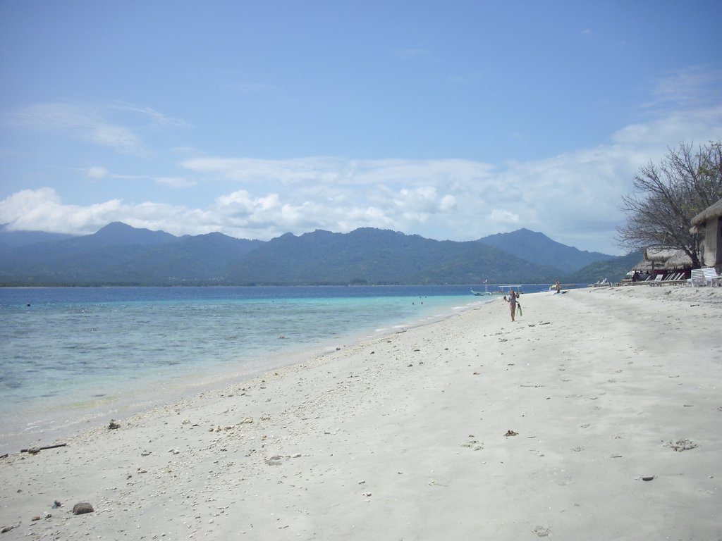 Image CIMG7303.JPG