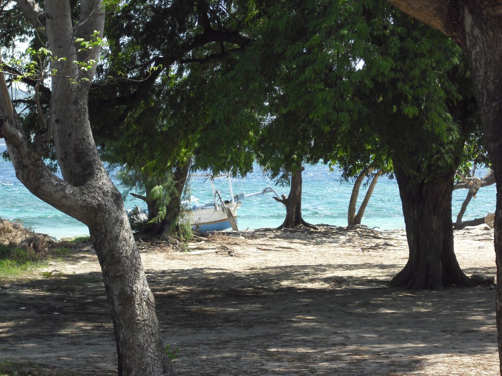 Image CIMG7317.JPG