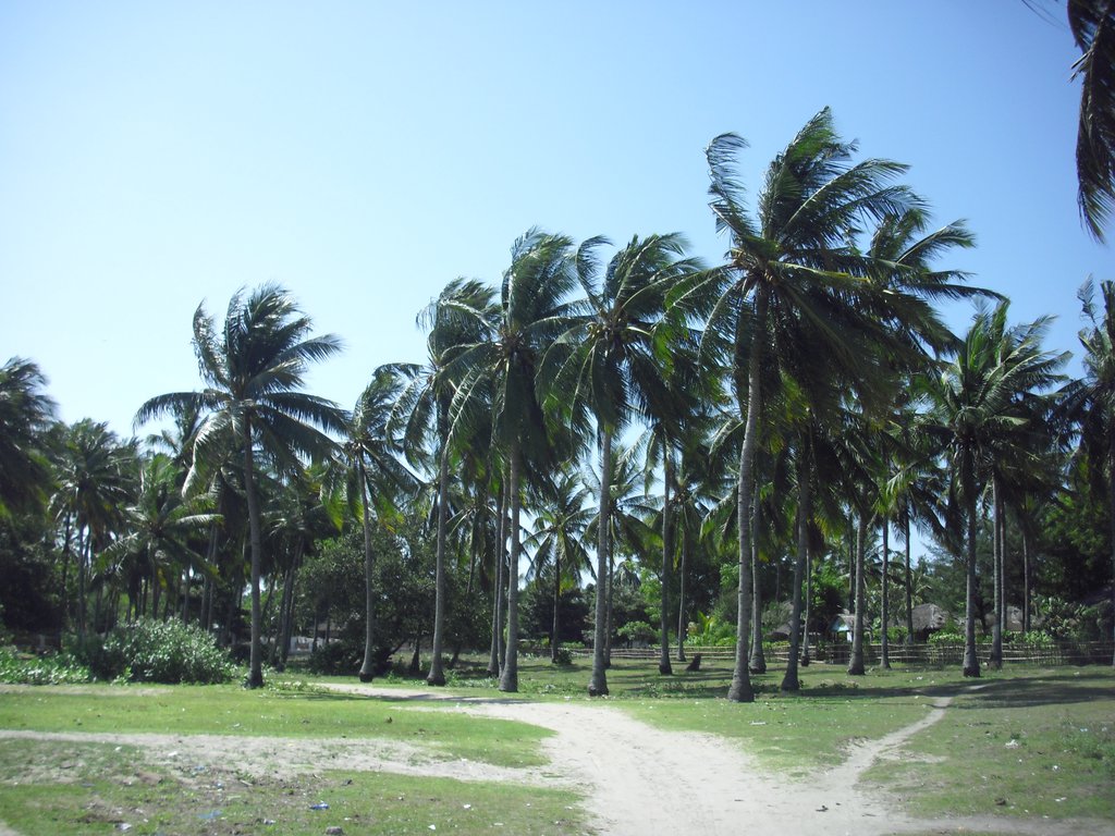 Image CIMG7319.JPG