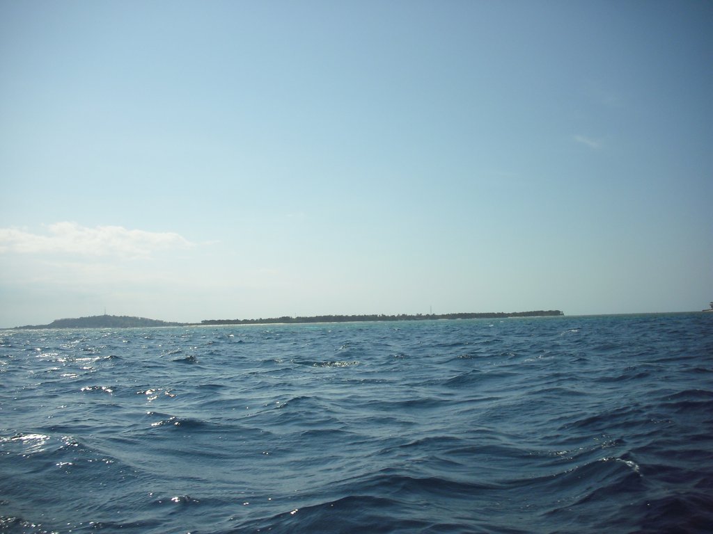 Image CIMG7325.JPG