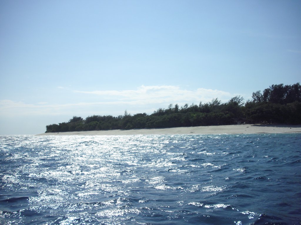 Image CIMG7334.JPG