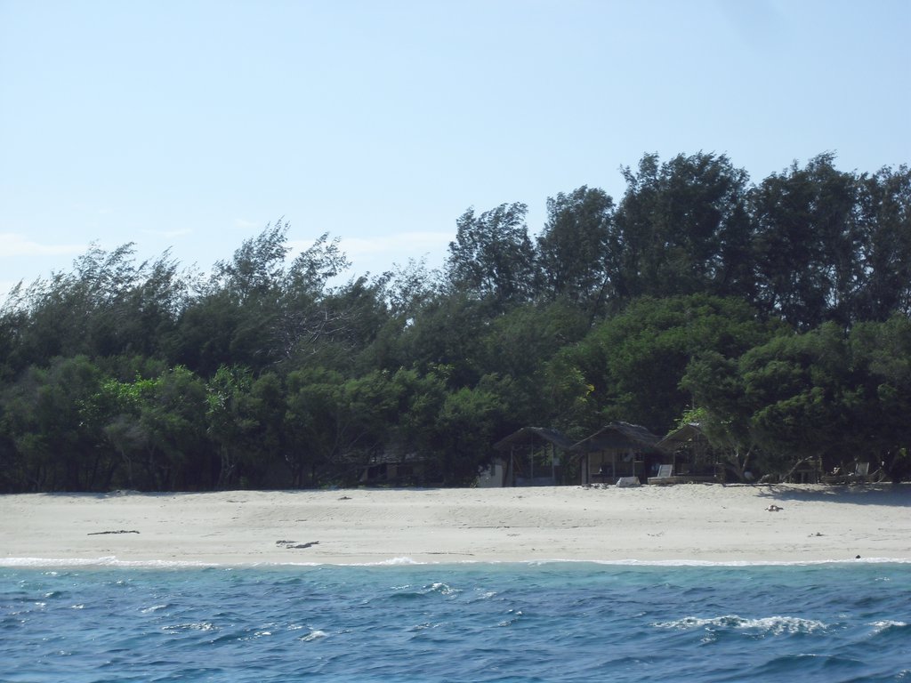 Image CIMG7335.JPG