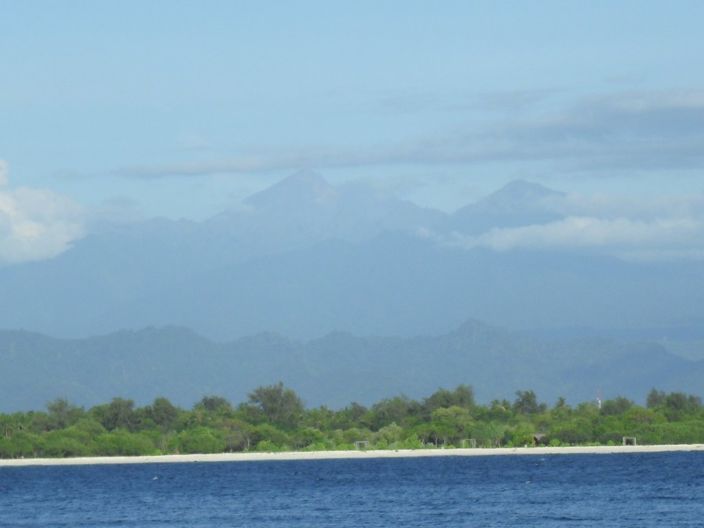 Image CIMG7342.JPG