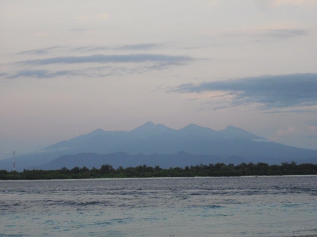 Image CIMG7354.JPG
