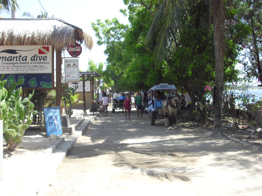 Image CIMG7356.JPG