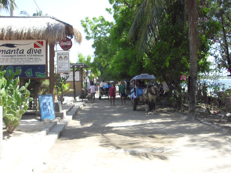 Image CIMG7356.JPG