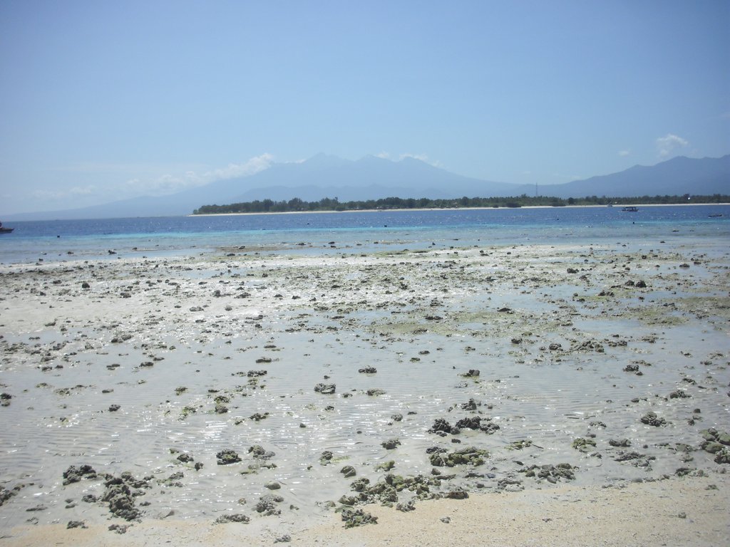 Image CIMG7364.JPG