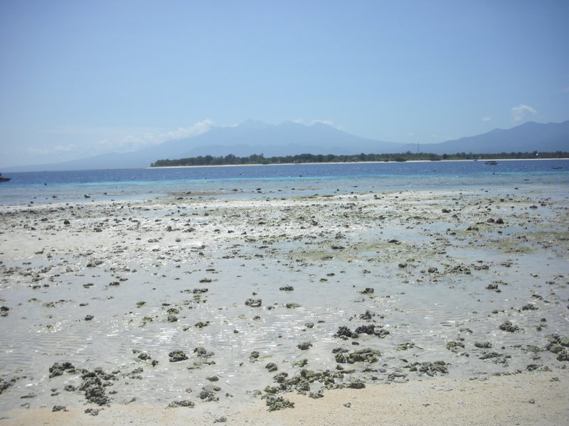 Image CIMG7364.JPG