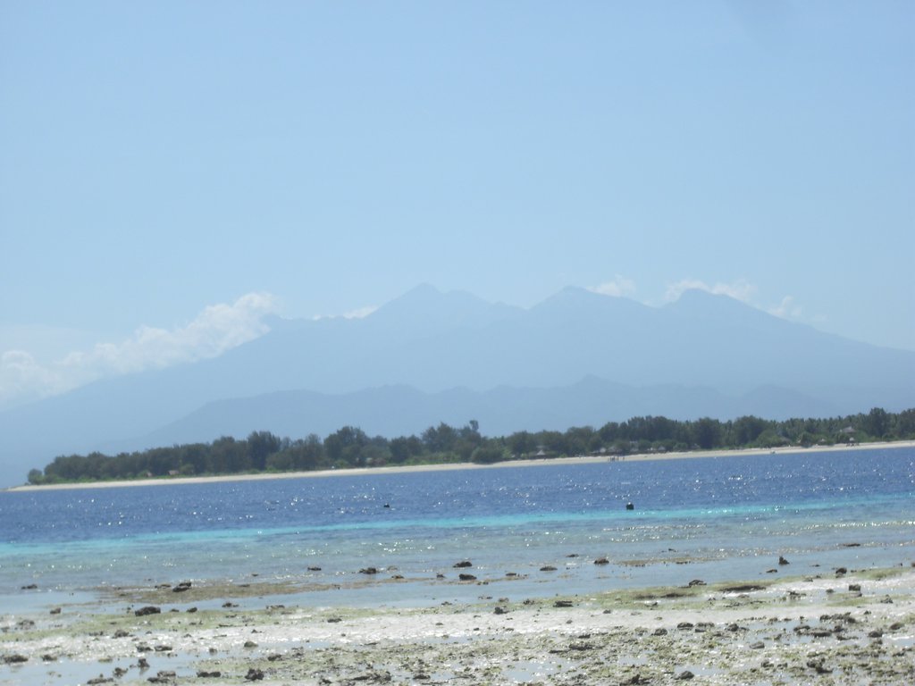 Image CIMG7365.JPG