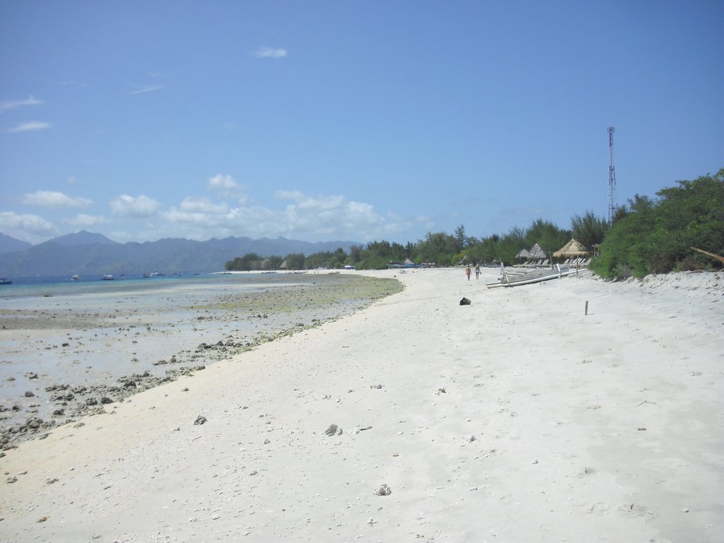 Image CIMG7366.JPG