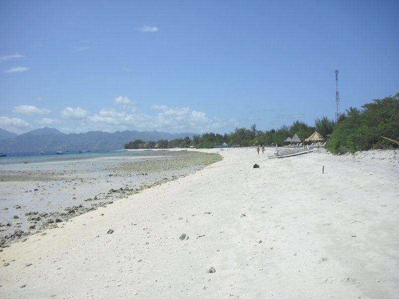 Image CIMG7366.JPG