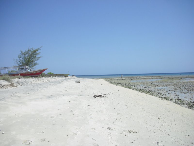Image CIMG7367.JPG