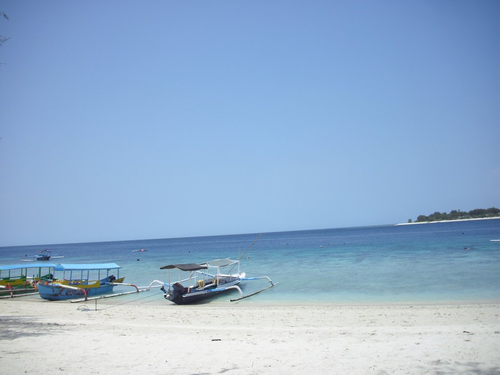 Image CIMG7374.JPG