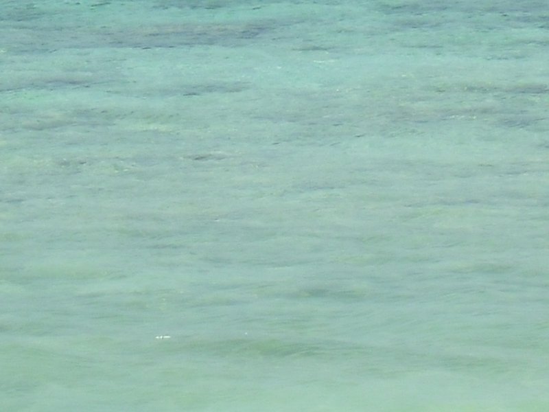 Image CIMG7376.JPG
