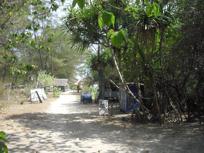 Image CIMG7385.JPG