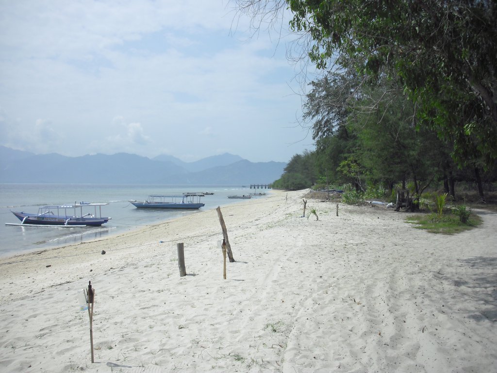 Image CIMG7386.JPG