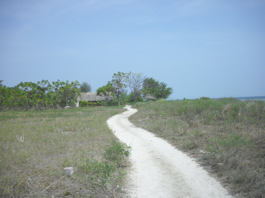 Image CIMG7387.JPG