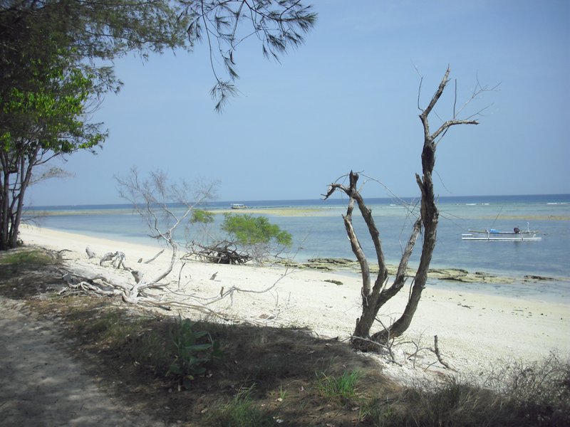 Image CIMG7388.JPG