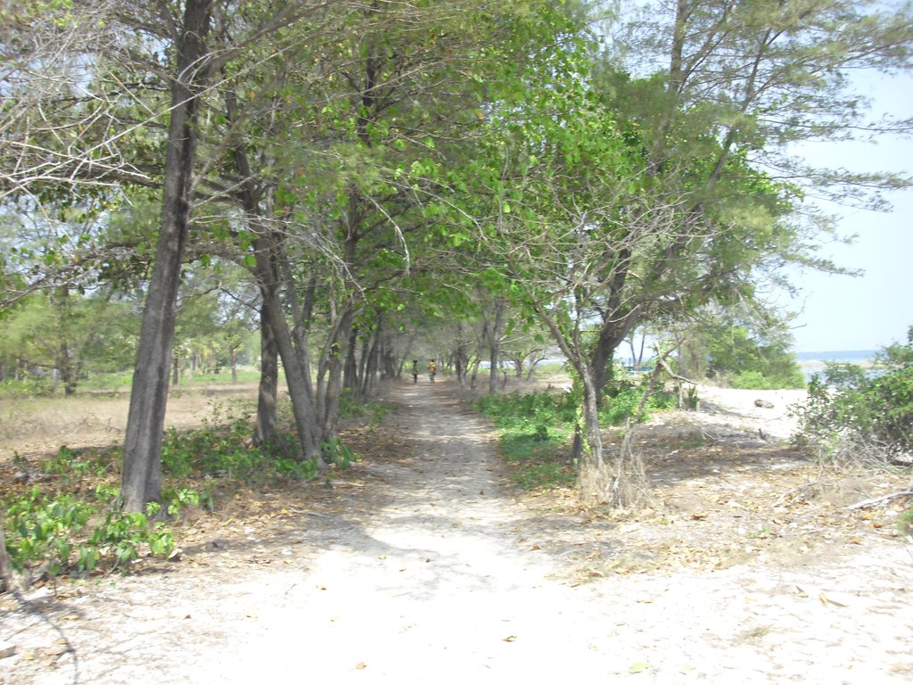 Image CIMG7389.JPG