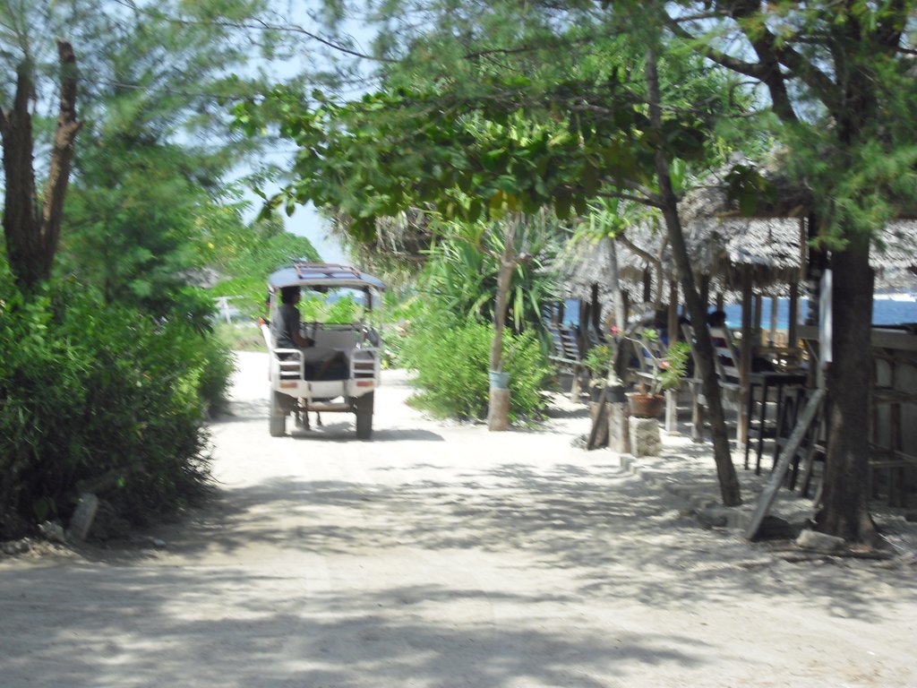 Image CIMG7391.JPG