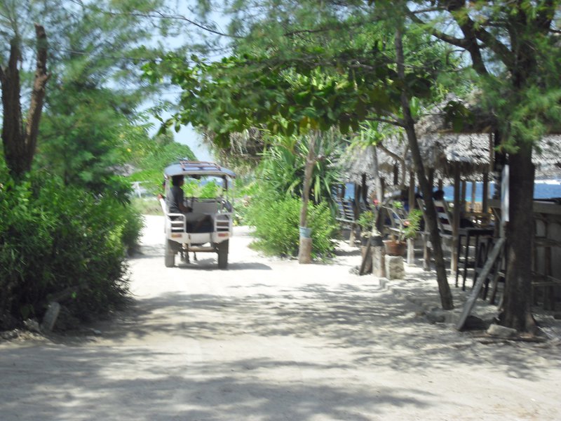 Image CIMG7391.JPG